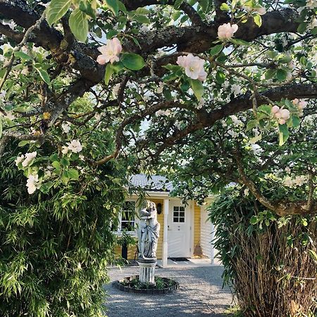 Villa Sol B&B And Hostel Borgholm Buitenkant foto