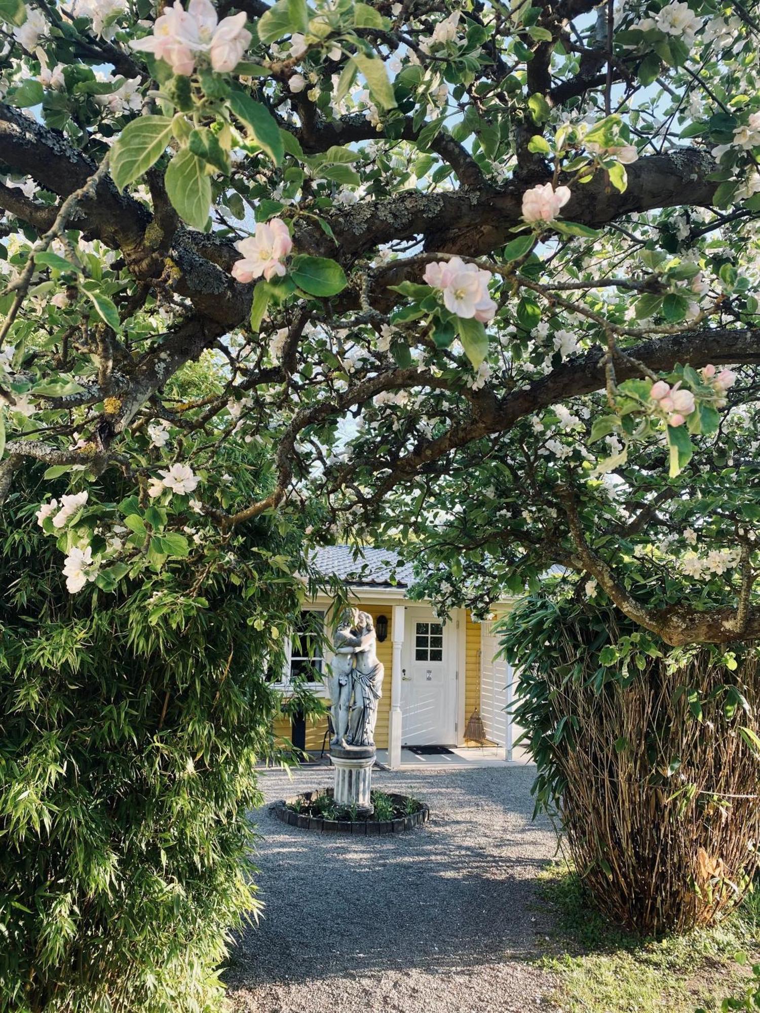 Villa Sol B&B And Hostel Borgholm Buitenkant foto